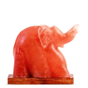 Salt Lamp - Elephant Shape