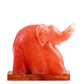 Salt Lamp - Elephant Shape