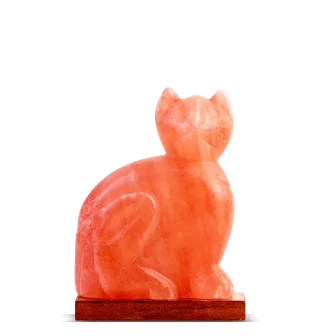 Salt Lamp - Cat Shape