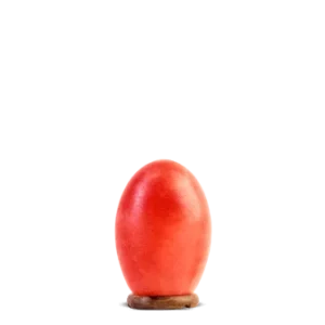 Salt Lamp - Egg Shape