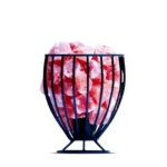 Trophy – Iron Base