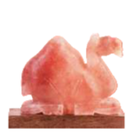Salt Lamp – Camel Shape