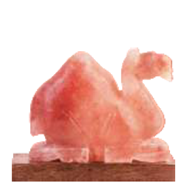 Salt Lamp - Camel Shape