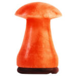 Salt Lamp – Mushroom Shape